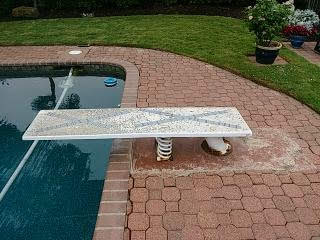 Diving Board Replacement - Jersey Village - Before Image